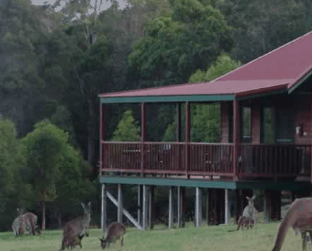  Accommodation Bookings