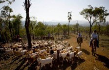 Kroombit Park At Lochenbar Station - Accommodation Bookings 1