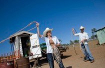 Kroombit Park At Lochenbar Station - Accommodation Bookings 3