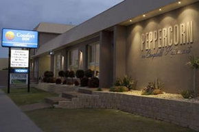 Comfort Inn Campbell - Accommodation Bookings 1