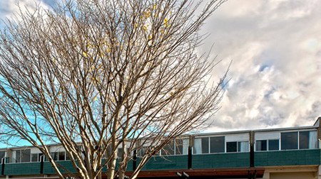 St Helens Bayside Inn - Accommodation Bookings 1