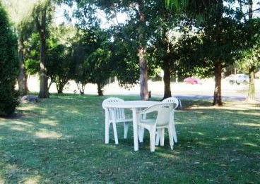 Mayfield Motel - Accommodation Bookings 2