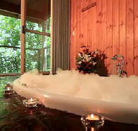 Tree Houses Of Montville - Accommodation Bookings