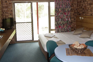 Surfside Resort Motel - Accommodation Bookings 3