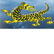 Dragon Phoenix Motel amp Restuarant - Accommodation Bookings