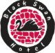Black Swan Hotel - Accommodation Bookings
