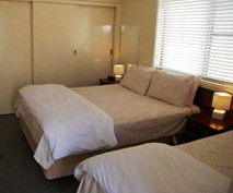 Hills Of Gold Motel - Accommodation Bookings 2