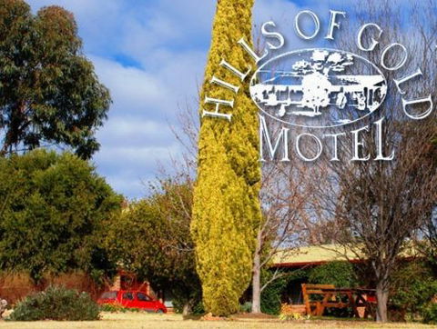 Hills Of Gold Motel - Accommodation Bookings 3