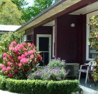 Elm Lodge Bright - Accommodation Bookings