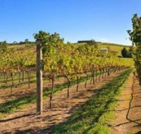 DeVine Escape - Accommodation Bookings