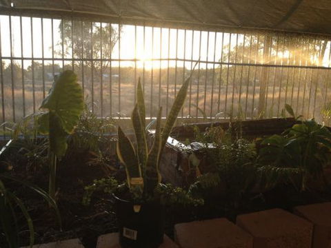 Cityside Accommodation | Mt Isa - Accommodation Bookings 5