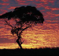 Kimba Caravan Park amp Motel - Accommodation Bookings