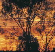 Tilmouth Well - Accommodation Bookings