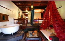 Casuarina Country Inn - Accommodation Bookings 3