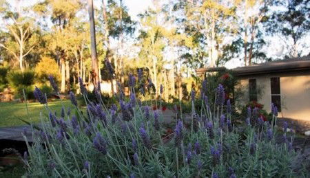 Wild Edge Retreat - Accommodation Bookings 2
