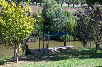 Colonial Inn Tamworth - Accommodation Bookings 3