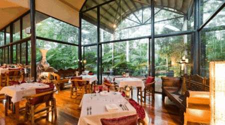Pethers Rainforest Retreat - Accommodation Bookings 1