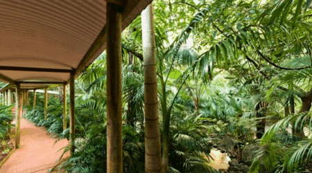 Pethers Rainforest Retreat - Accommodation Bookings 4