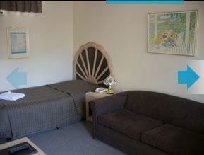 Dawson Motor Inn - Accommodation Bookings 5