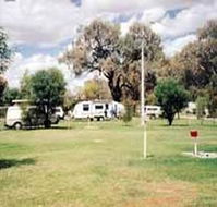 Morgan Riverside Caravan Park - Accommodation Bookings