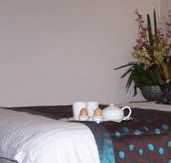 Best Western Ambassador Motor Inn - Accommodation Bookings