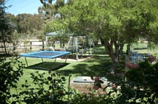 Tarcutta Halfway Motor Inn - Accommodation Bookings 8