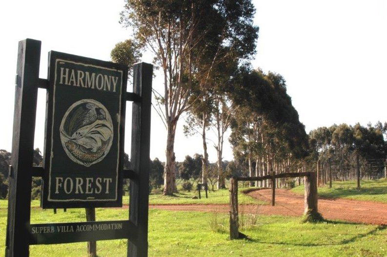  Accommodation Bookings