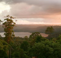 Montville Misty View Cabins - Accommodation Bookings
