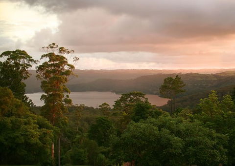 Montville Misty View Cabins - Accommodation Bookings 0