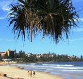 Mariners Caloundra - Accommodation Bookings