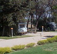 Paringa Caravan Park - Accommodation Bookings