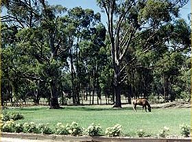 Saratoga Lodge - Accommodation Bookings 0