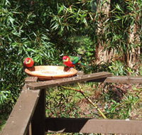 Tree Tops - Accommodation Bookings