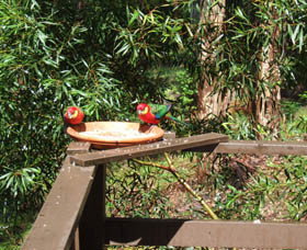 Tree Tops - Accommodation Bookings 0