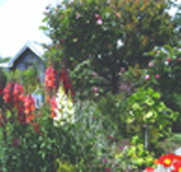 Hopfield Country Cottages - Accommodation Bookings