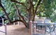 Magnolia House Marysville - thumb 0