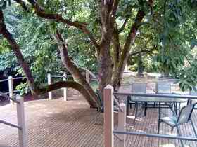 Magnolia House Marysville - Accommodation Bookings 0