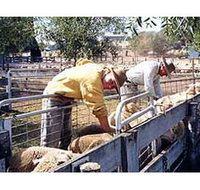 Old Nubba Schoolhouse - Accommodation Bookings