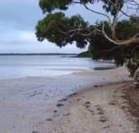 Stanley Lakeside Spa Cabins - Accommodation Bookings