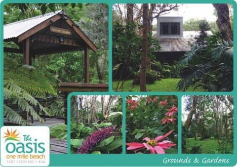 The Oasis At One Mile Beach - Accommodation Bookings 0