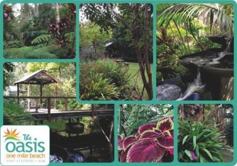 The Oasis At One Mile Beach - Accommodation Bookings 2