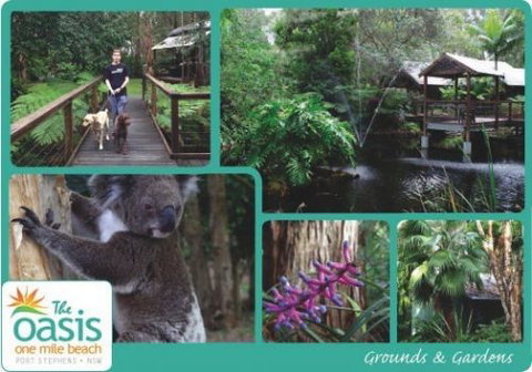 The Oasis At One Mile Beach - Accommodation Bookings 3