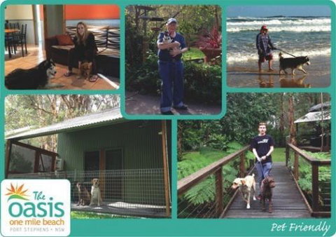 The Oasis At One Mile Beach - Accommodation Bookings 8