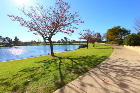Tea Tree Manor - Accommodation Bookings 5