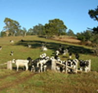 St Columba Cottage - Accommodation Bookings