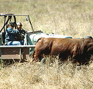 Bullo River Station - Accommodation Bookings
