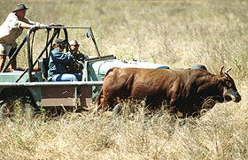 Bullo River Station - Accommodation Bookings 0