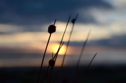 Dune Hideaway - Accommodation Bookings 8