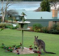 Gipsy Point Lakeside - Accommodation Bookings