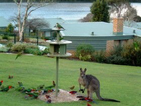 Gipsy Point Lakeside - Accommodation Bookings 0